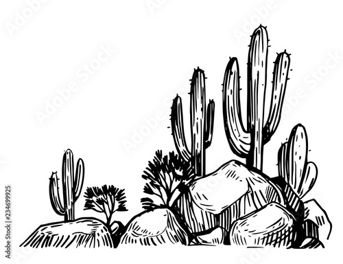 Sketch of the desert of America