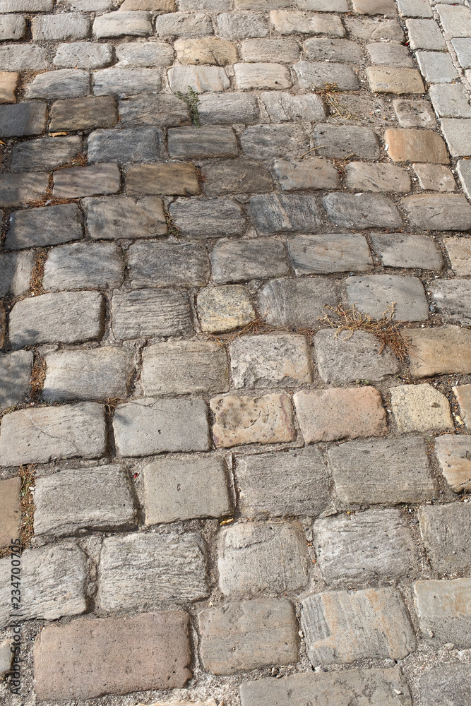 Close up of paving stones. Pathway to be used for backgrounds, textures , graphic editors Close up of paving stones. Pathway to be used for backgrounds, textures , graphic editors