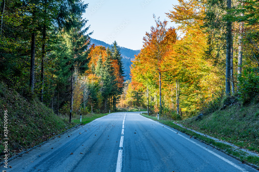Fototapeta premium Straße zum Almsee