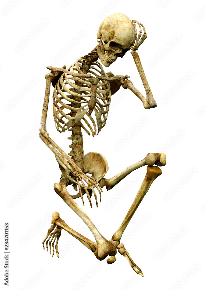 3D Rendering Human Skeleton on White 3D Rendering Human Skeleton on White
