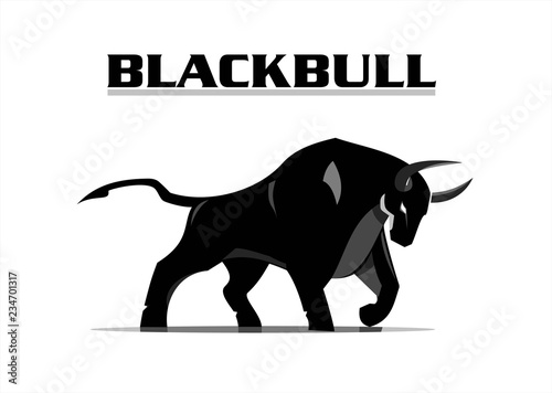 Wild Bull. Wild bold black bull.