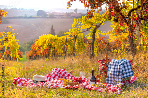 Picnic at sunset in the hills of Italy. Vineyards and open nature in the fall. Romantic dinner, fruit and wine. Copy space. Free space for text. photo