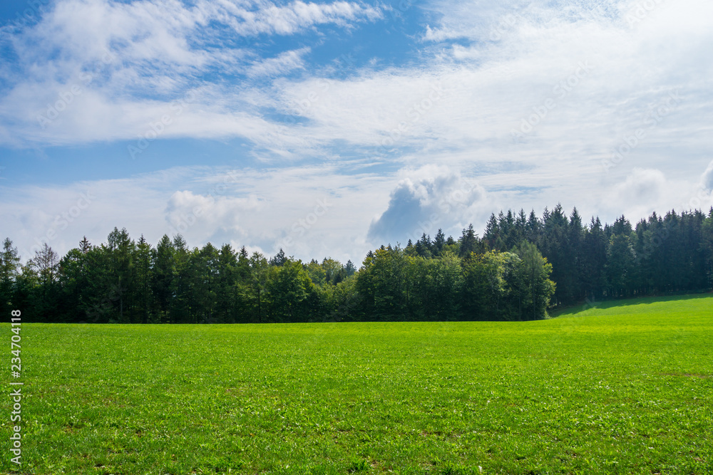 Obraz premium Germany, Green german paradise in black forest nature countryside