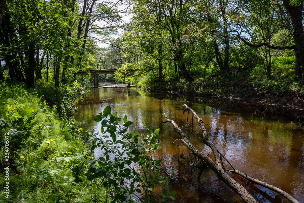 Fototapeta premium natural body of water. pond with reflections