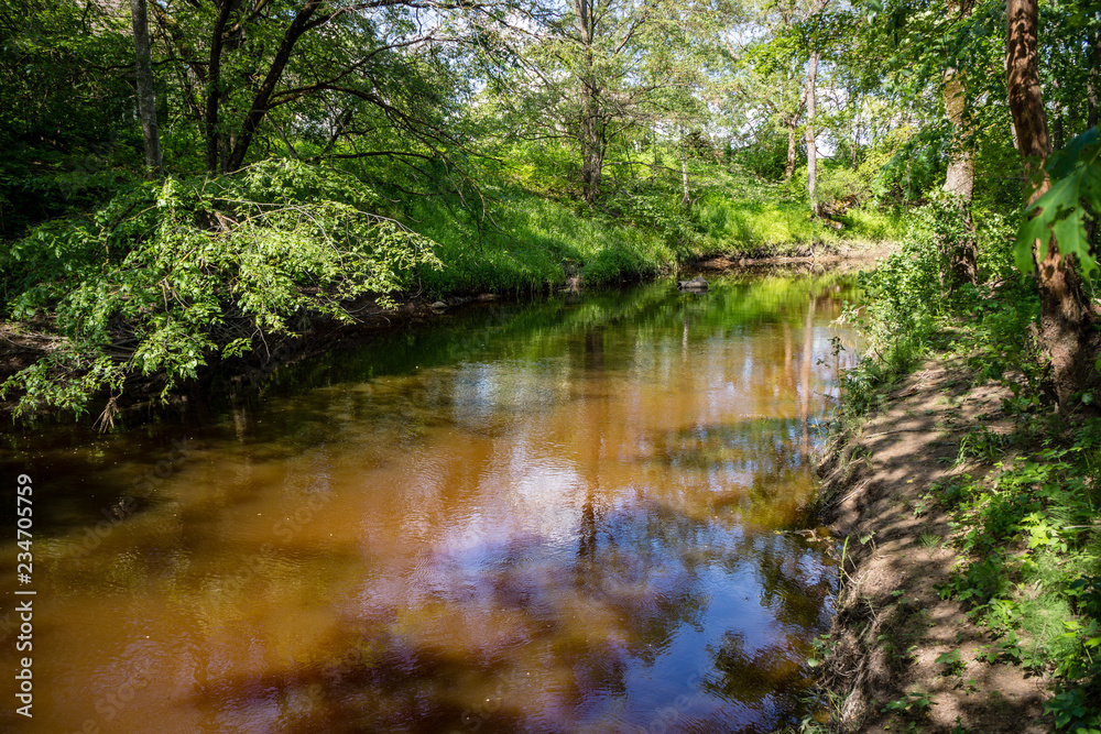 natural body of water. pond with reflections