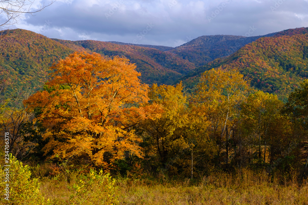 Autumn Colors in the Smokies Autumn Colors in the Smokies