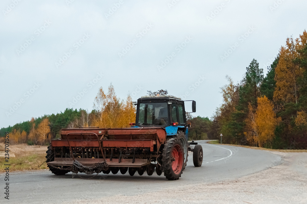 Fototapeta premium A blue tractor with a trailer for agricultural works rides along a road in a wheat field.