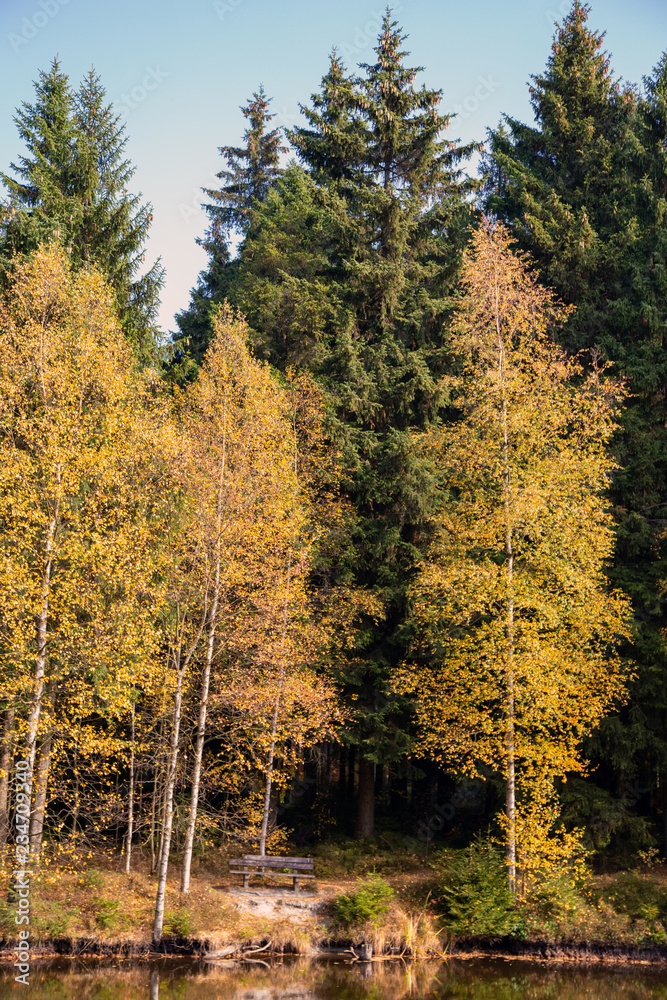 Fototapeta premium a little lake in a forest in autumn