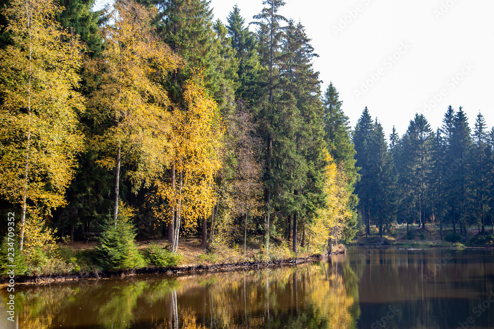 a little lake in a forest in autumn