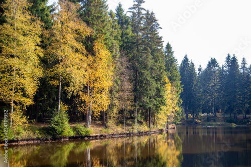 a little lake in a forest in autumn