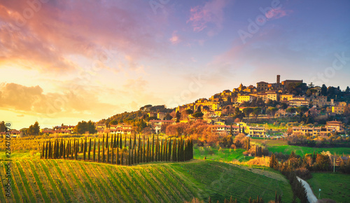 Wioska Casale Marittimo, winnice i krajobraz w Maremma. Toskania, Włochy