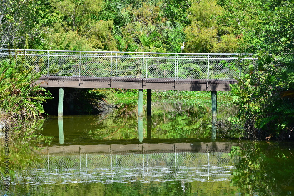 A bridge crossing a lake with an American white Ibis in the background A bridge crossing a lake with an American white Ibis in the background
