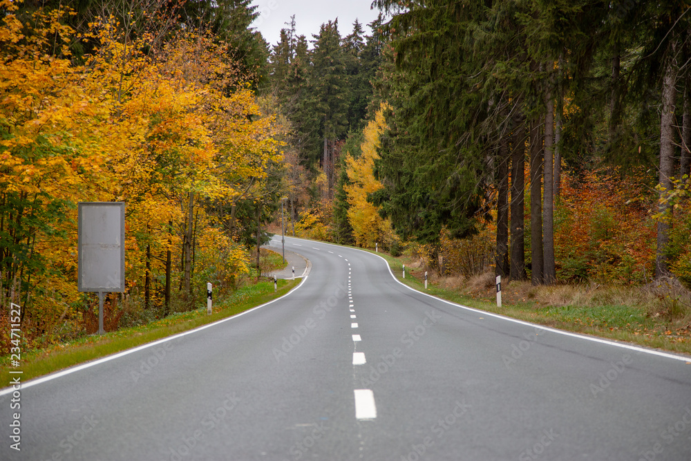 a street in the autumn