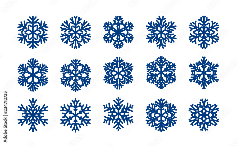 Set of decorative snowflakes. Christmas, winter concept. Vector illustration