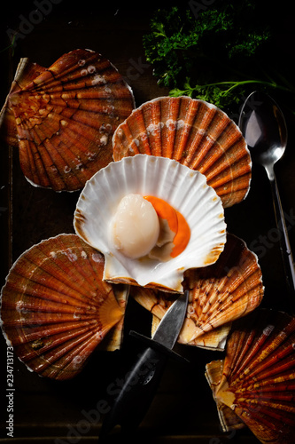 Scallops in the sink. Photo of fresh seafood in a low key.
