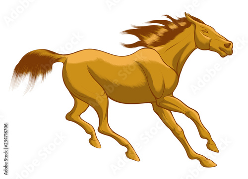 Quick sketch of red horse with brown mane  galloping free. Vector clip art and design element for equestrian farms. Emblem of an agricultural animal.