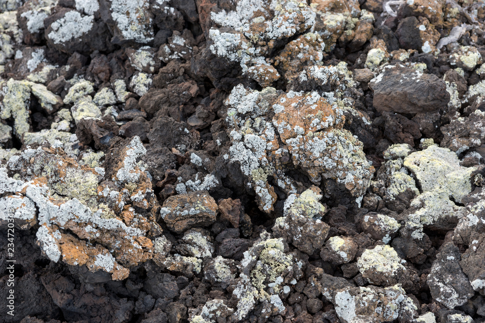 Lava stones with lichen in Timanfaya National Park. Lanzarote, Canary Islands Lava stones with lichen in Timanfaya National Park. Lanzarote, Canary Islands