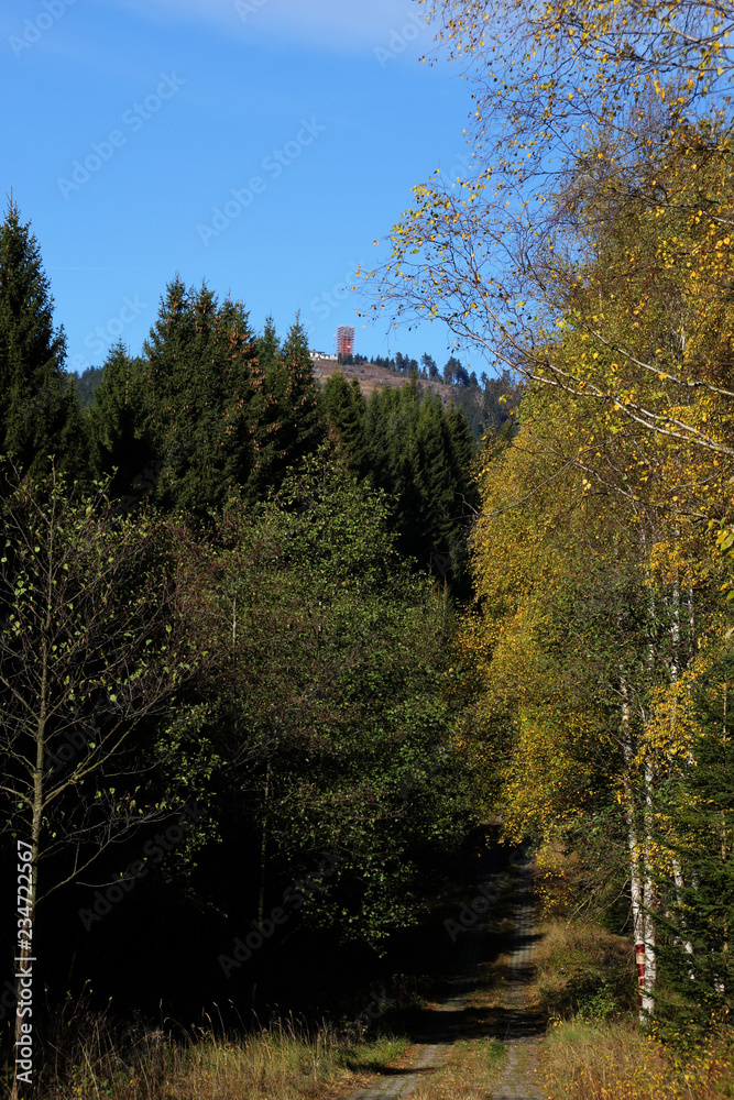 Obraz premium Die ehemalige Grenze bei Braunlage