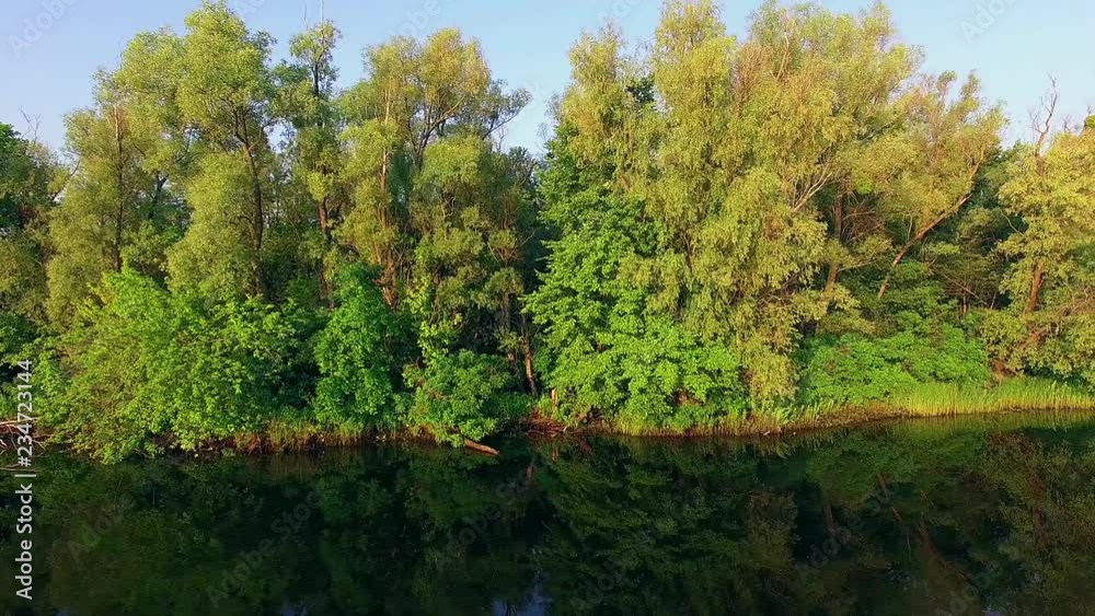 along the riverbank 4K aerial view, Drone flight along the riverbank moving near the trees, The trees on the bank of the river along the riverbank 4K aerial view, Drone flight along the riverbank moving near the trees, The trees on the bank of the river