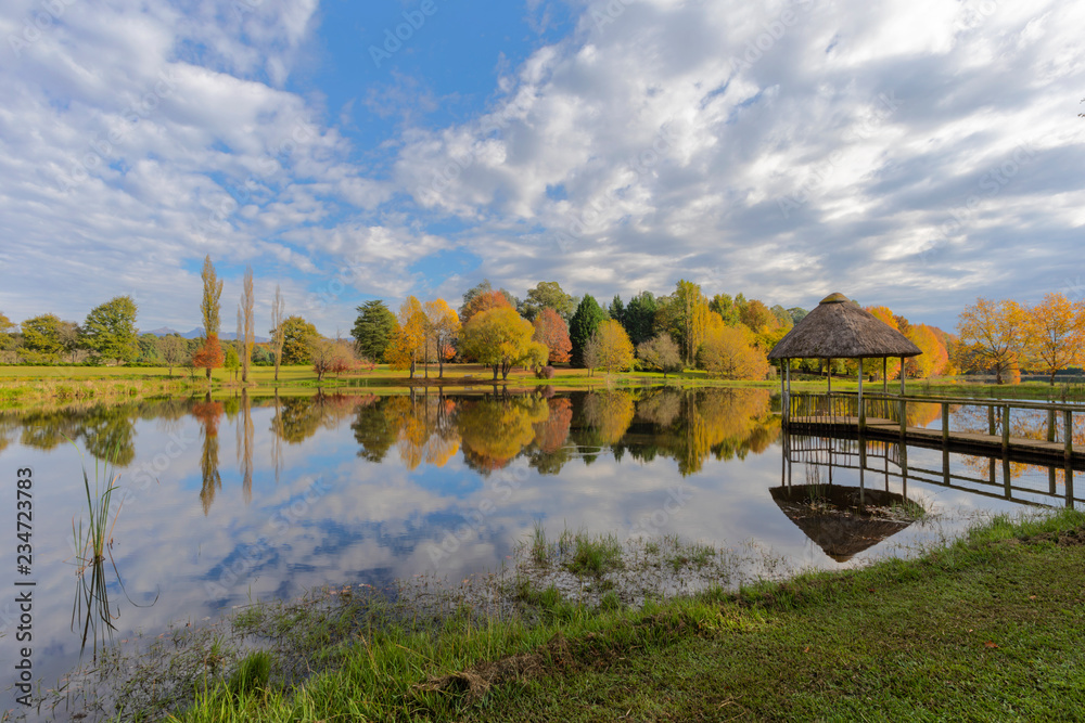Obraz premium Autumn colored trees and clouds