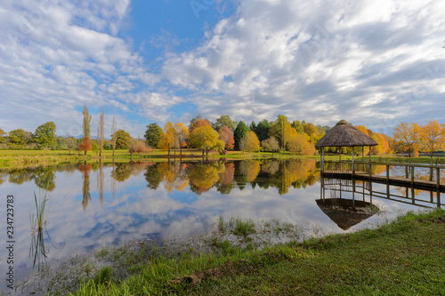 Autumn colored trees and clouds