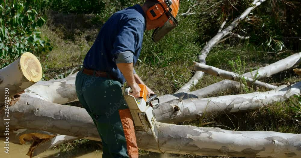 Lumberjack cutting fallen tree in the forest 4k