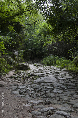 landscape of southern Russia