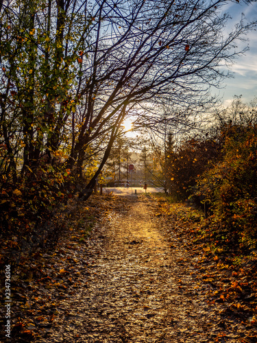 Path towards sunset