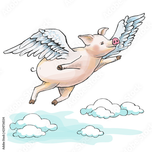 When pigs fly. A fat piglet is flying among cumulus clouds.