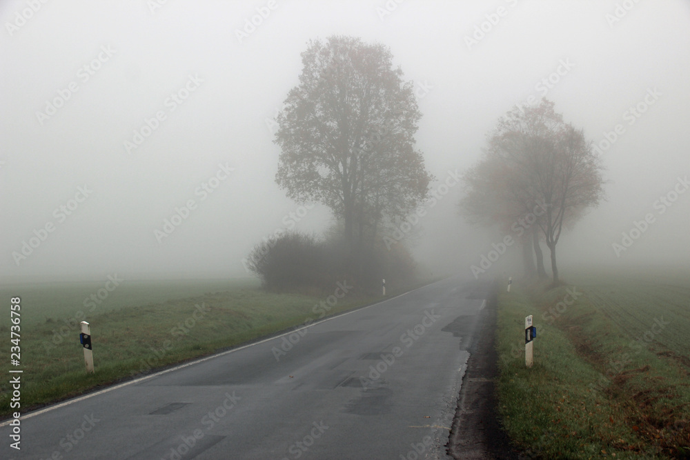 Nebel auf der Landstraße Nebel auf der Landstraße