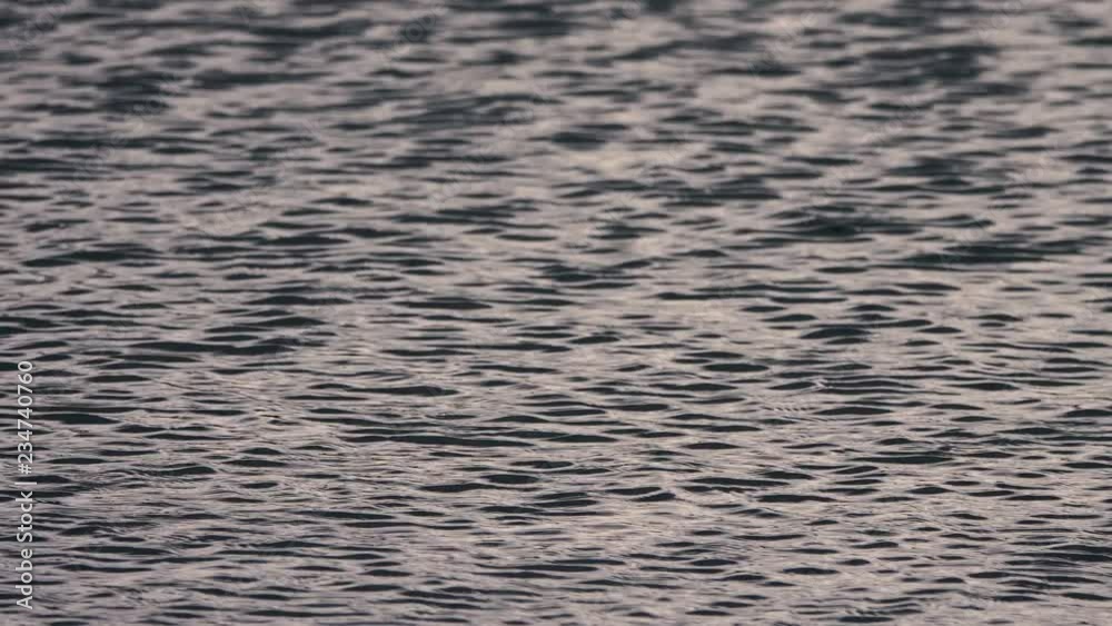 waves from the wind on the surface of the water in the river. waves from the wind on the surface of the water in the river.