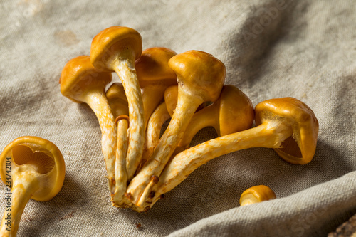 Raw Organic Nameko Mushrooms photo