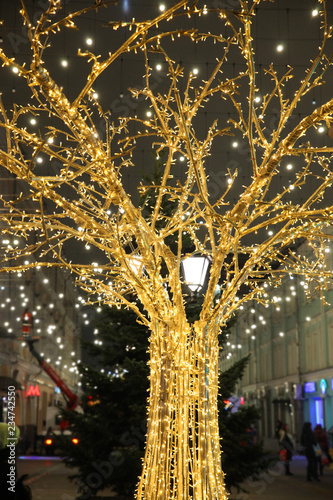 Street scenery, Golden tree in led lights on houses background