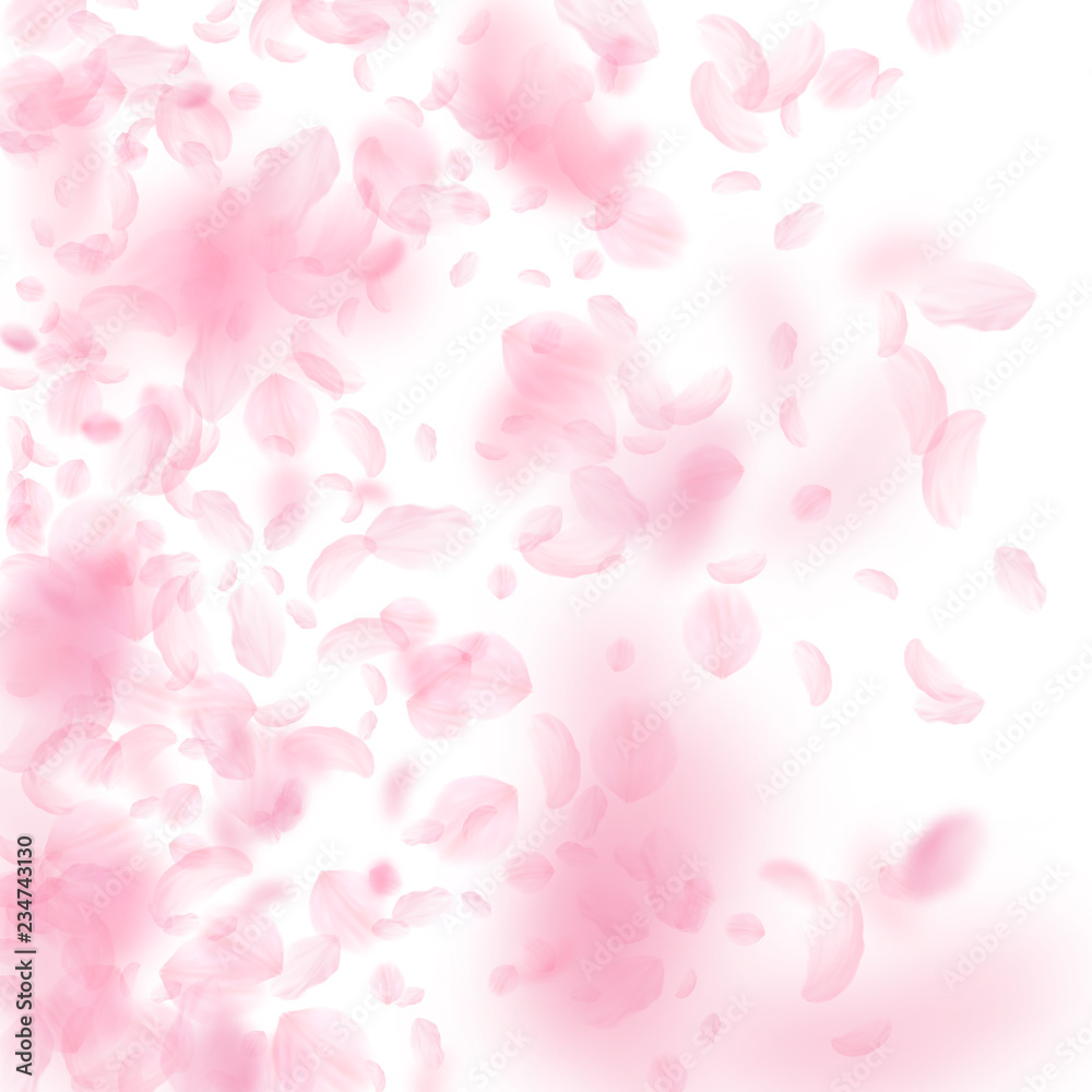 Sakura petals falling down. Romantic pink flowers 