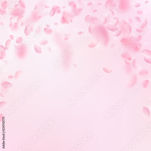 Sakura petals falling down. Romantic pink flowers 