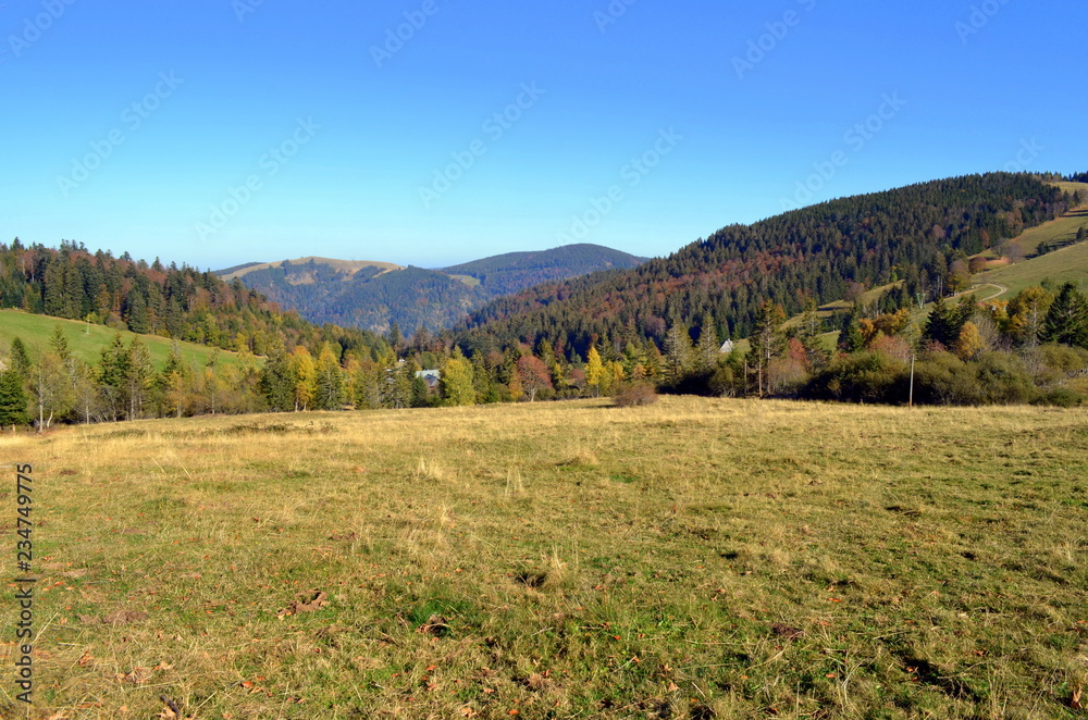 Schwarzwaldgipfel im Herbst