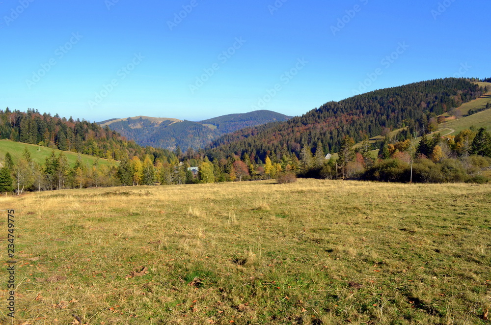 Fototapeta premium Schwarzwaldgipfel im Herbst