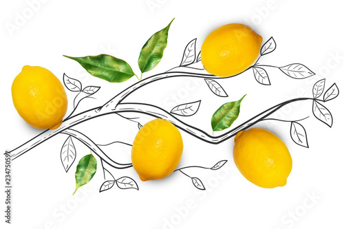 Fototapeta Naklejka Na Ścianę i Meble -  Fruit composition with fresh lemon and cartoon cute doodle drawing elements on isolated white background. Creative minimalistic food concept.