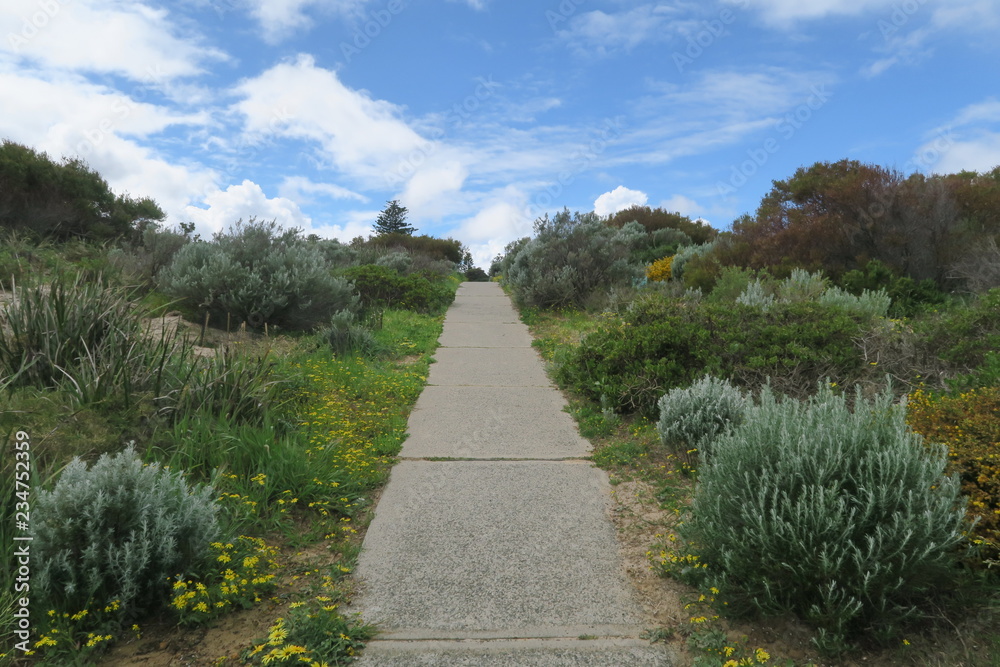 Obraz premium Freier Weg in Landschaft