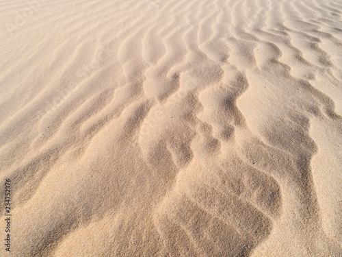 Beautiful dune of Parna  ba  Brazil. 