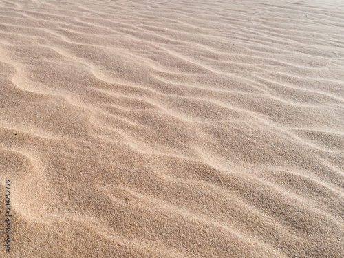 Beautiful dune of Parna  ba  Brazil. 