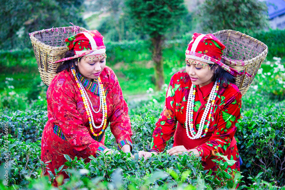 164 Darjeeling Girl Stock Photos - Free & Royalty-Free Stock Photos from  Dreamstime