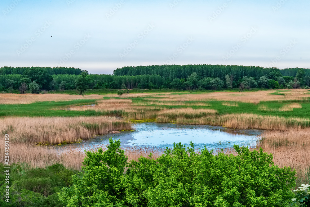 View of a swamp in Serbia
