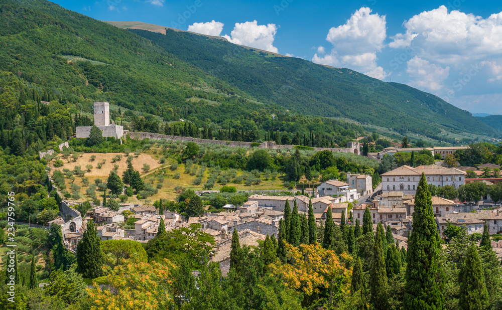 Panoramic view in Assisi with the Rocca Minore. Umbria, Italy.