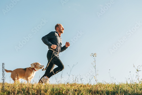 Sport activity with pet. Canicross exercises. Man runs with his beagle dog