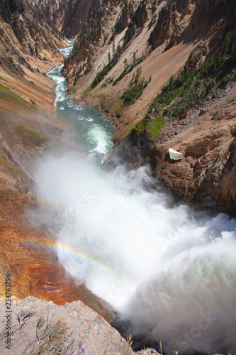 The Lower Falls in Yellowstone National Park