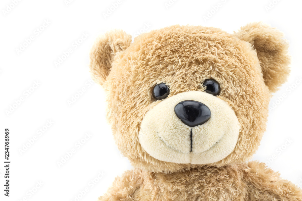 Obraz premium A standing bear. Isolated on white background.