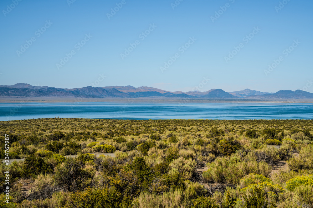 mono lake desert california
