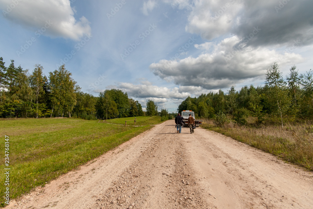 Fototapeta premium simple countryside forest road in perspective