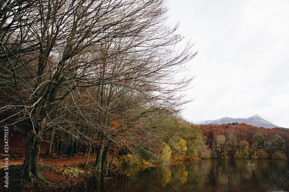 Fototapeta premium Lake and Trees Landscape in Autumn